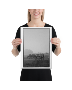 Frame Canvas Horses